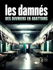 Les damnés, des ouvriers en abattoirs