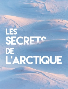 Les secrets de l'Arctique