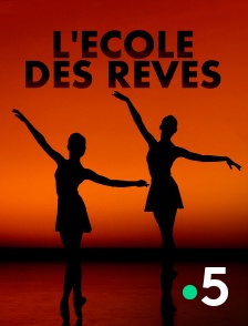 France 5 - L'école des rêves