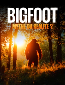Bigfoot : mythe ou réalité ?