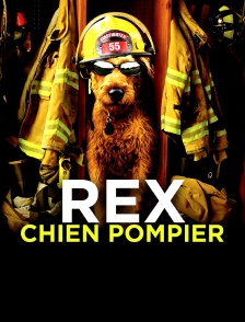 Rex, chien pompier