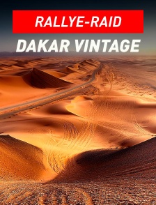 Rallye : Rallye Dakar Vintage