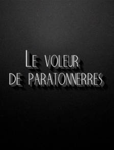 Le voleur de paratonnerres