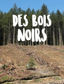 Des bois noirs