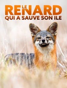 Le renard qui a sauvé son île