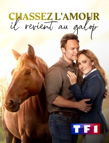 TF1 - Chassez l'amour, il revient au galop