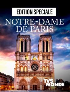 TV5MONDE - Edition spéciale Notre-Dame de Paris