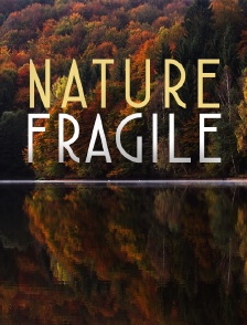 Nature fragile