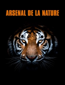 Arsenal de la nature