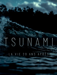 Tsunami : la vie 20 ans après