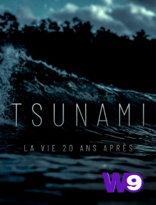 W9 - Tsunami : la vie 20 ans après