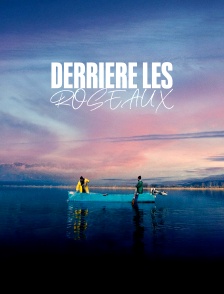 Derrière les roseaux