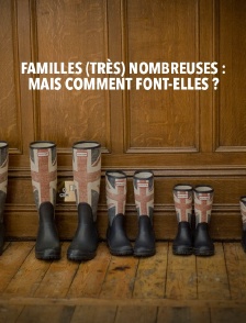Familles (très) nombreuses : mais comment font-elles ?