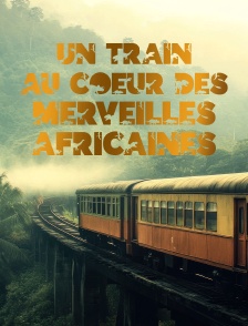 Un train au coeur des merveilles africaines : De Dar es Salam aux chutes Victoriae