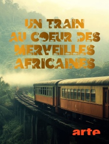 Arte - Un train au coeur des merveilles africaines : De Dar es Salam aux chutes Victoriae