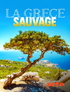 La Grèce sauvage