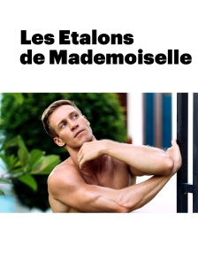 Les Etalons de Mademoiselle