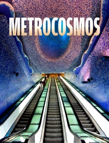 Métrocosmos