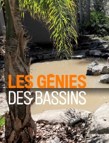 Les génies des bassins