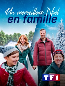 TF1 - Un merveilleux Noël en famille