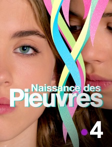 France 4 - Naissance des pieuvres