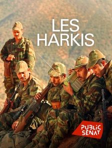 Public Sénat - Les Harkis