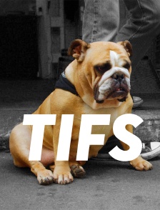 Tifs