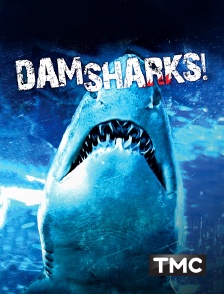 TMC - Dam Sharks