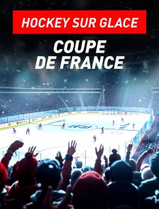 Hockey sur glace : Coupe de France