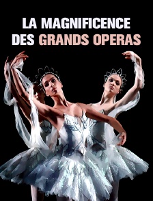 La magnificence des grands opéras