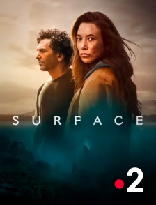 France 2 - Surface