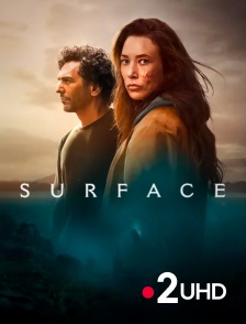 France 2 UHD - Surface
