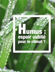 Humus : espoir oublié pour le climat ?