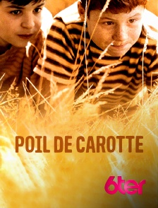 Poil de carotte