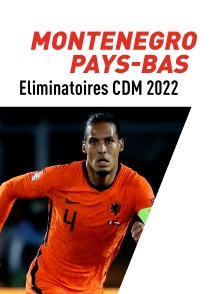 Football : Eliminatoires de la Coupe du monde UEFA - Montenegro / Pays-Bas