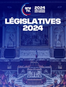 Emission spéciale : Elections législatives