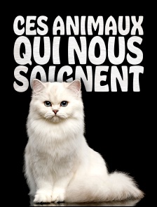 Ces animaux qui nous soignent