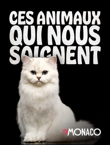 TV Monaco - Ces animaux qui nous soignent