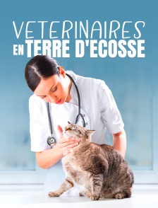 Vétérinaires en terre d'Ecosse