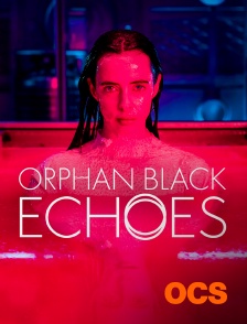 Orphan black : Echoes