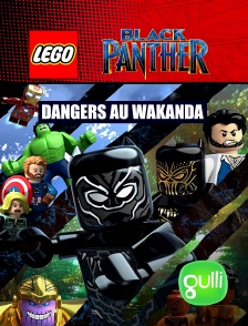 Gulli - Black Panther - Dangers au Wakanda en replay