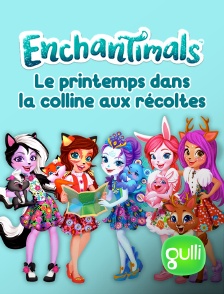 Gulli - Enchantimals, le printemps dans la colline aux récoltes