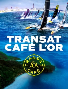Voile - Transat Café L'Or : Le Havre Normandie