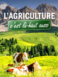 L'agriculture, c'est là-haut aussi