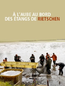 A l'aube au bord des étangs de Rietschen