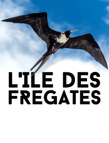 L'île des frégates