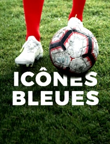 Icônes Bleues