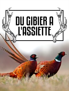 Du Gibier à l'Assiette