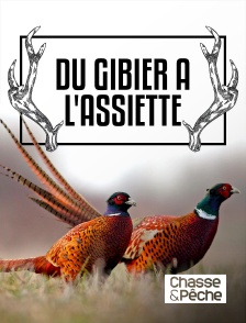 Chasse et pêche - Du Gibier à l'Assiette