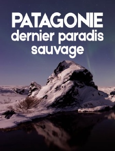 Patagonie, dernier paradis sauvage